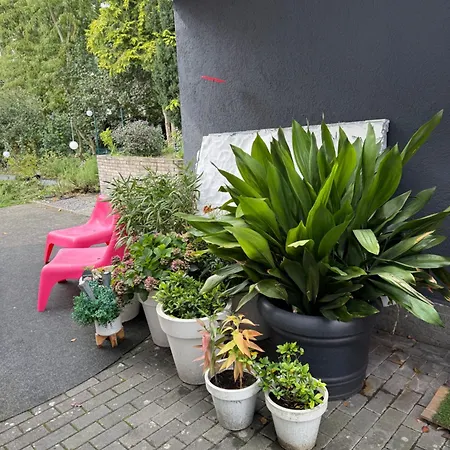 Modernes 1 Zimmerapartment Nahe Frankfurt Am Main * Heusenstamm