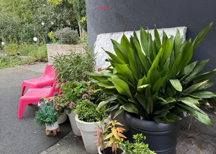 Modernes 1 Zimmerapartment Nahe Frankfurt Am Main * Heusenstamm